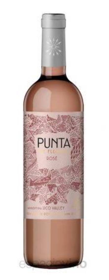 PUNTA DE FLECHAS ROSE